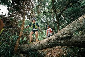 BIB: 
                            <button type="button" onclick="openModal(25549436)" class="btn btn-primary btn-sm float-right btn-popup" data-toggle="modal" data-target=".modal-high-quality">
                        <i class="fas fa-shopping-cart"></i> Add to Cart
                    </button>
                                            <button type="button" onclick="isThisMe(25549436, true)" class="btn btn-success btn-sm float-right btn-popup btn-isme hidden" data-toggle="tooltip" data-placement="bottom" title="นี่คือรูปของคุณใช่ไหม คลิกที่นี่เพื่อเอาเข้าอัลบั้ม">
                        <i class="fas fa-plus"></i> Add to album
                    </button>
                    <button type="button" onclick="isThisMe(25549436, false)" class="btn btn-warning btn-sm float-right btn-popup btn-isnotme hidden">
                        <i class="fas fa-ban"></i> Remove from album
                    </button>