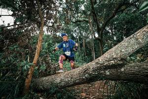 BIB: 
                            <button type="button" onclick="openModal(25543937)" class="btn btn-primary btn-sm float-right btn-popup" data-toggle="modal" data-target=".modal-high-quality">
                        <i class="fas fa-shopping-cart"></i> Add to Cart
                    </button>
                                            <button type="button" onclick="isThisMe(25543937, true)" class="btn btn-success btn-sm float-right btn-popup btn-isme hidden" data-toggle="tooltip" data-placement="bottom" title="นี่คือรูปของคุณใช่ไหม คลิกที่นี่เพื่อเอาเข้าอัลบั้ม">
                        <i class="fas fa-plus"></i> Add to album
                    </button>
                    <button type="button" onclick="isThisMe(25543937, false)" class="btn btn-warning btn-sm float-right btn-popup btn-isnotme hidden">
                        <i class="fas fa-ban"></i> Remove from album
                    </button>