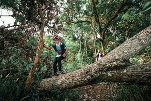 BIB: 
                            <button type="button" onclick="openModal(25527059)" class="btn btn-primary btn-sm float-right btn-popup" data-toggle="modal" data-target=".modal-high-quality">
                        <i class="fas fa-shopping-cart"></i> Add to Cart
                    </button>
                                            <button type="button" onclick="isThisMe(25527059, true)" class="btn btn-success btn-sm float-right btn-popup btn-isme hidden" data-toggle="tooltip" data-placement="bottom" title="นี่คือรูปของคุณใช่ไหม คลิกที่นี่เพื่อเอาเข้าอัลบั้ม">
                        <i class="fas fa-plus"></i> Add to album
                    </button>
                    <button type="button" onclick="isThisMe(25527059, false)" class="btn btn-warning btn-sm float-right btn-popup btn-isnotme hidden">
                        <i class="fas fa-ban"></i> Remove from album
                    </button>