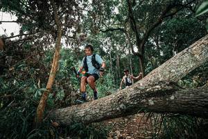 BIB: 
                            <button type="button" onclick="openModal(25535865)" class="btn btn-primary btn-sm float-right btn-popup" data-toggle="modal" data-target=".modal-high-quality">
                        <i class="fas fa-shopping-cart"></i> Add to Cart
                    </button>
                                            <button type="button" onclick="isThisMe(25535865, true)" class="btn btn-success btn-sm float-right btn-popup btn-isme hidden" data-toggle="tooltip" data-placement="bottom" title="นี่คือรูปของคุณใช่ไหม คลิกที่นี่เพื่อเอาเข้าอัลบั้ม">
                        <i class="fas fa-plus"></i> Add to album
                    </button>
                    <button type="button" onclick="isThisMe(25535865, false)" class="btn btn-warning btn-sm float-right btn-popup btn-isnotme hidden">
                        <i class="fas fa-ban"></i> Remove from album
                    </button>