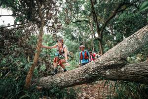 BIB: 
                            <button type="button" onclick="openModal(25529398)" class="btn btn-primary btn-sm float-right btn-popup" data-toggle="modal" data-target=".modal-high-quality">
                        <i class="fas fa-shopping-cart"></i> Add to Cart
                    </button>
                                            <button type="button" onclick="isThisMe(25529398, true)" class="btn btn-success btn-sm float-right btn-popup btn-isme hidden" data-toggle="tooltip" data-placement="bottom" title="นี่คือรูปของคุณใช่ไหม คลิกที่นี่เพื่อเอาเข้าอัลบั้ม">
                        <i class="fas fa-plus"></i> Add to album
                    </button>
                    <button type="button" onclick="isThisMe(25529398, false)" class="btn btn-warning btn-sm float-right btn-popup btn-isnotme hidden">
                        <i class="fas fa-ban"></i> Remove from album
                    </button>