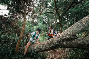 BIB: 
                            <button type="button" onclick="openModal(25532307)" class="btn btn-primary btn-sm float-right btn-popup" data-toggle="modal" data-target=".modal-high-quality">
                        <i class="fas fa-shopping-cart"></i> Add to Cart
                    </button>
                                            <button type="button" onclick="isThisMe(25532307, true)" class="btn btn-success btn-sm float-right btn-popup btn-isme hidden" data-toggle="tooltip" data-placement="bottom" title="นี่คือรูปของคุณใช่ไหม คลิกที่นี่เพื่อเอาเข้าอัลบั้ม">
                        <i class="fas fa-plus"></i> Add to album
                    </button>
                    <button type="button" onclick="isThisMe(25532307, false)" class="btn btn-warning btn-sm float-right btn-popup btn-isnotme hidden">
                        <i class="fas fa-ban"></i> Remove from album
                    </button>