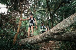 BIB: 
                            <button type="button" onclick="openModal(25537082)" class="btn btn-primary btn-sm float-right btn-popup" data-toggle="modal" data-target=".modal-high-quality">
                        <i class="fas fa-shopping-cart"></i> Add to Cart
                    </button>
                                            <button type="button" onclick="isThisMe(25537082, true)" class="btn btn-success btn-sm float-right btn-popup btn-isme hidden" data-toggle="tooltip" data-placement="bottom" title="นี่คือรูปของคุณใช่ไหม คลิกที่นี่เพื่อเอาเข้าอัลบั้ม">
                        <i class="fas fa-plus"></i> Add to album
                    </button>
                    <button type="button" onclick="isThisMe(25537082, false)" class="btn btn-warning btn-sm float-right btn-popup btn-isnotme hidden">
                        <i class="fas fa-ban"></i> Remove from album
                    </button>