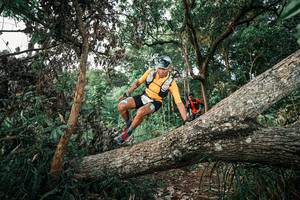 BIB: 
                            <button type="button" onclick="openModal(25526641)" class="btn btn-primary btn-sm float-right btn-popup" data-toggle="modal" data-target=".modal-high-quality">
                        <i class="fas fa-shopping-cart"></i> Add to Cart
                    </button>
                                            <button type="button" onclick="isThisMe(25526641, true)" class="btn btn-success btn-sm float-right btn-popup btn-isme hidden" data-toggle="tooltip" data-placement="bottom" title="นี่คือรูปของคุณใช่ไหม คลิกที่นี่เพื่อเอาเข้าอัลบั้ม">
                        <i class="fas fa-plus"></i> Add to album
                    </button>
                    <button type="button" onclick="isThisMe(25526641, false)" class="btn btn-warning btn-sm float-right btn-popup btn-isnotme hidden">
                        <i class="fas fa-ban"></i> Remove from album
                    </button>