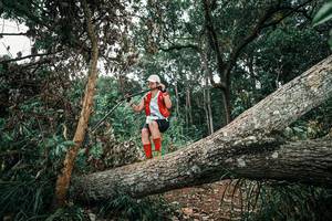 BIB: 
                            <button type="button" onclick="openModal(25542224)" class="btn btn-primary btn-sm float-right btn-popup" data-toggle="modal" data-target=".modal-high-quality">
                        <i class="fas fa-shopping-cart"></i> Add to Cart
                    </button>
                                            <button type="button" onclick="isThisMe(25542224, true)" class="btn btn-success btn-sm float-right btn-popup btn-isme hidden" data-toggle="tooltip" data-placement="bottom" title="นี่คือรูปของคุณใช่ไหม คลิกที่นี่เพื่อเอาเข้าอัลบั้ม">
                        <i class="fas fa-plus"></i> Add to album
                    </button>
                    <button type="button" onclick="isThisMe(25542224, false)" class="btn btn-warning btn-sm float-right btn-popup btn-isnotme hidden">
                        <i class="fas fa-ban"></i> Remove from album
                    </button>