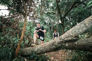 BIB: 
                            <button type="button" onclick="openModal(25542579)" class="btn btn-primary btn-sm float-right btn-popup" data-toggle="modal" data-target=".modal-high-quality">
                        <i class="fas fa-shopping-cart"></i> Add to Cart
                    </button>
                                            <button type="button" onclick="isThisMe(25542579, true)" class="btn btn-success btn-sm float-right btn-popup btn-isme hidden" data-toggle="tooltip" data-placement="bottom" title="นี่คือรูปของคุณใช่ไหม คลิกที่นี่เพื่อเอาเข้าอัลบั้ม">
                        <i class="fas fa-plus"></i> Add to album
                    </button>
                    <button type="button" onclick="isThisMe(25542579, false)" class="btn btn-warning btn-sm float-right btn-popup btn-isnotme hidden">
                        <i class="fas fa-ban"></i> Remove from album
                    </button>