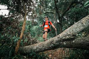 BIB: 
                            <button type="button" onclick="openModal(25541547)" class="btn btn-primary btn-sm float-right btn-popup" data-toggle="modal" data-target=".modal-high-quality">
                        <i class="fas fa-shopping-cart"></i> Add to Cart
                    </button>
                                            <button type="button" onclick="isThisMe(25541547, true)" class="btn btn-success btn-sm float-right btn-popup btn-isme hidden" data-toggle="tooltip" data-placement="bottom" title="นี่คือรูปของคุณใช่ไหม คลิกที่นี่เพื่อเอาเข้าอัลบั้ม">
                        <i class="fas fa-plus"></i> Add to album
                    </button>
                    <button type="button" onclick="isThisMe(25541547, false)" class="btn btn-warning btn-sm float-right btn-popup btn-isnotme hidden">
                        <i class="fas fa-ban"></i> Remove from album
                    </button>