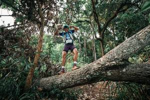 BIB: 
                            <button type="button" onclick="openModal(25533565)" class="btn btn-primary btn-sm float-right btn-popup" data-toggle="modal" data-target=".modal-high-quality">
                        <i class="fas fa-shopping-cart"></i> Add to Cart
                    </button>
                                            <button type="button" onclick="isThisMe(25533565, true)" class="btn btn-success btn-sm float-right btn-popup btn-isme hidden" data-toggle="tooltip" data-placement="bottom" title="นี่คือรูปของคุณใช่ไหม คลิกที่นี่เพื่อเอาเข้าอัลบั้ม">
                        <i class="fas fa-plus"></i> Add to album
                    </button>
                    <button type="button" onclick="isThisMe(25533565, false)" class="btn btn-warning btn-sm float-right btn-popup btn-isnotme hidden">
                        <i class="fas fa-ban"></i> Remove from album
                    </button>