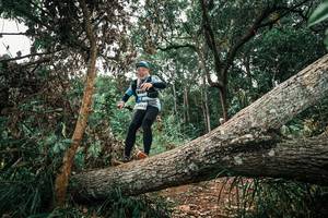 BIB: 
                            <button type="button" onclick="openModal(25546295)" class="btn btn-primary btn-sm float-right btn-popup" data-toggle="modal" data-target=".modal-high-quality">
                        <i class="fas fa-shopping-cart"></i> Add to Cart
                    </button>
                                            <button type="button" onclick="isThisMe(25546295, true)" class="btn btn-success btn-sm float-right btn-popup btn-isme hidden" data-toggle="tooltip" data-placement="bottom" title="นี่คือรูปของคุณใช่ไหม คลิกที่นี่เพื่อเอาเข้าอัลบั้ม">
                        <i class="fas fa-plus"></i> Add to album
                    </button>
                    <button type="button" onclick="isThisMe(25546295, false)" class="btn btn-warning btn-sm float-right btn-popup btn-isnotme hidden">
                        <i class="fas fa-ban"></i> Remove from album
                    </button>