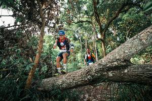 BIB: 
                            <button type="button" onclick="openModal(25527761)" class="btn btn-primary btn-sm float-right btn-popup" data-toggle="modal" data-target=".modal-high-quality">
                        <i class="fas fa-shopping-cart"></i> Add to Cart
                    </button>
                                            <button type="button" onclick="isThisMe(25527761, true)" class="btn btn-success btn-sm float-right btn-popup btn-isme hidden" data-toggle="tooltip" data-placement="bottom" title="นี่คือรูปของคุณใช่ไหม คลิกที่นี่เพื่อเอาเข้าอัลบั้ม">
                        <i class="fas fa-plus"></i> Add to album
                    </button>
                    <button type="button" onclick="isThisMe(25527761, false)" class="btn btn-warning btn-sm float-right btn-popup btn-isnotme hidden">
                        <i class="fas fa-ban"></i> Remove from album
                    </button>