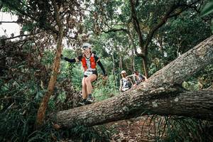 BIB: 
                            <button type="button" onclick="openModal(25532793)" class="btn btn-primary btn-sm float-right btn-popup" data-toggle="modal" data-target=".modal-high-quality">
                        <i class="fas fa-shopping-cart"></i> Add to Cart
                    </button>
                                            <button type="button" onclick="isThisMe(25532793, true)" class="btn btn-success btn-sm float-right btn-popup btn-isme hidden" data-toggle="tooltip" data-placement="bottom" title="นี่คือรูปของคุณใช่ไหม คลิกที่นี่เพื่อเอาเข้าอัลบั้ม">
                        <i class="fas fa-plus"></i> Add to album
                    </button>
                    <button type="button" onclick="isThisMe(25532793, false)" class="btn btn-warning btn-sm float-right btn-popup btn-isnotme hidden">
                        <i class="fas fa-ban"></i> Remove from album
                    </button>