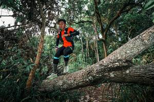 BIB: 
                            <button type="button" onclick="openModal(25526664)" class="btn btn-primary btn-sm float-right btn-popup" data-toggle="modal" data-target=".modal-high-quality">
                        <i class="fas fa-shopping-cart"></i> Add to Cart
                    </button>
                                            <button type="button" onclick="isThisMe(25526664, true)" class="btn btn-success btn-sm float-right btn-popup btn-isme hidden" data-toggle="tooltip" data-placement="bottom" title="นี่คือรูปของคุณใช่ไหม คลิกที่นี่เพื่อเอาเข้าอัลบั้ม">
                        <i class="fas fa-plus"></i> Add to album
                    </button>
                    <button type="button" onclick="isThisMe(25526664, false)" class="btn btn-warning btn-sm float-right btn-popup btn-isnotme hidden">
                        <i class="fas fa-ban"></i> Remove from album
                    </button>