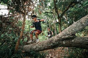 BIB: 
                            <button type="button" onclick="openModal(25531996)" class="btn btn-primary btn-sm float-right btn-popup" data-toggle="modal" data-target=".modal-high-quality">
                        <i class="fas fa-shopping-cart"></i> Add to Cart
                    </button>
                                            <button type="button" onclick="isThisMe(25531996, true)" class="btn btn-success btn-sm float-right btn-popup btn-isme hidden" data-toggle="tooltip" data-placement="bottom" title="นี่คือรูปของคุณใช่ไหม คลิกที่นี่เพื่อเอาเข้าอัลบั้ม">
                        <i class="fas fa-plus"></i> Add to album
                    </button>
                    <button type="button" onclick="isThisMe(25531996, false)" class="btn btn-warning btn-sm float-right btn-popup btn-isnotme hidden">
                        <i class="fas fa-ban"></i> Remove from album
                    </button>