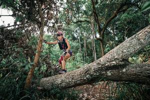 BIB: 
                            <button type="button" onclick="openModal(25528170)" class="btn btn-primary btn-sm float-right btn-popup" data-toggle="modal" data-target=".modal-high-quality">
                        <i class="fas fa-shopping-cart"></i> Add to Cart
                    </button>
                                            <button type="button" onclick="isThisMe(25528170, true)" class="btn btn-success btn-sm float-right btn-popup btn-isme hidden" data-toggle="tooltip" data-placement="bottom" title="นี่คือรูปของคุณใช่ไหม คลิกที่นี่เพื่อเอาเข้าอัลบั้ม">
                        <i class="fas fa-plus"></i> Add to album
                    </button>
                    <button type="button" onclick="isThisMe(25528170, false)" class="btn btn-warning btn-sm float-right btn-popup btn-isnotme hidden">
                        <i class="fas fa-ban"></i> Remove from album
                    </button>