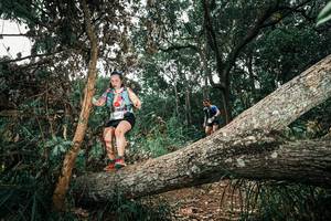 BIB: 
                            <button type="button" onclick="openModal(25552660)" class="btn btn-primary btn-sm float-right btn-popup" data-toggle="modal" data-target=".modal-high-quality">
                        <i class="fas fa-shopping-cart"></i> Add to Cart
                    </button>
                                            <button type="button" onclick="isThisMe(25552660, true)" class="btn btn-success btn-sm float-right btn-popup btn-isme hidden" data-toggle="tooltip" data-placement="bottom" title="นี่คือรูปของคุณใช่ไหม คลิกที่นี่เพื่อเอาเข้าอัลบั้ม">
                        <i class="fas fa-plus"></i> Add to album
                    </button>
                    <button type="button" onclick="isThisMe(25552660, false)" class="btn btn-warning btn-sm float-right btn-popup btn-isnotme hidden">
                        <i class="fas fa-ban"></i> Remove from album
                    </button>