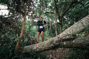 BIB: 
                            <button type="button" onclick="openModal(25528604)" class="btn btn-primary btn-sm float-right btn-popup" data-toggle="modal" data-target=".modal-high-quality">
                        <i class="fas fa-shopping-cart"></i> Add to Cart
                    </button>
                                            <button type="button" onclick="isThisMe(25528604, true)" class="btn btn-success btn-sm float-right btn-popup btn-isme hidden" data-toggle="tooltip" data-placement="bottom" title="นี่คือรูปของคุณใช่ไหม คลิกที่นี่เพื่อเอาเข้าอัลบั้ม">
                        <i class="fas fa-plus"></i> Add to album
                    </button>
                    <button type="button" onclick="isThisMe(25528604, false)" class="btn btn-warning btn-sm float-right btn-popup btn-isnotme hidden">
                        <i class="fas fa-ban"></i> Remove from album
                    </button>