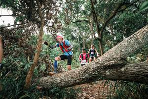 BIB: 
                            <button type="button" onclick="openModal(25529420)" class="btn btn-primary btn-sm float-right btn-popup" data-toggle="modal" data-target=".modal-high-quality">
                        <i class="fas fa-shopping-cart"></i> Add to Cart
                    </button>
                                            <button type="button" onclick="isThisMe(25529420, true)" class="btn btn-success btn-sm float-right btn-popup btn-isme hidden" data-toggle="tooltip" data-placement="bottom" title="นี่คือรูปของคุณใช่ไหม คลิกที่นี่เพื่อเอาเข้าอัลบั้ม">
                        <i class="fas fa-plus"></i> Add to album
                    </button>
                    <button type="button" onclick="isThisMe(25529420, false)" class="btn btn-warning btn-sm float-right btn-popup btn-isnotme hidden">
                        <i class="fas fa-ban"></i> Remove from album
                    </button>