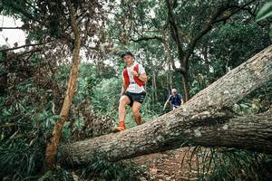 BIB: 
                            <button type="button" onclick="openModal(25541978)" class="btn btn-primary btn-sm float-right btn-popup" data-toggle="modal" data-target=".modal-high-quality">
                        <i class="fas fa-shopping-cart"></i> Add to Cart
                    </button>
                                            <button type="button" onclick="isThisMe(25541978, true)" class="btn btn-success btn-sm float-right btn-popup btn-isme hidden" data-toggle="tooltip" data-placement="bottom" title="นี่คือรูปของคุณใช่ไหม คลิกที่นี่เพื่อเอาเข้าอัลบั้ม">
                        <i class="fas fa-plus"></i> Add to album
                    </button>
                    <button type="button" onclick="isThisMe(25541978, false)" class="btn btn-warning btn-sm float-right btn-popup btn-isnotme hidden">
                        <i class="fas fa-ban"></i> Remove from album
                    </button>