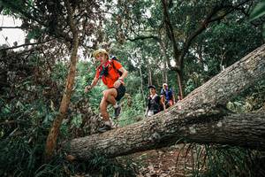 BIB: 
                            <button type="button" onclick="openModal(25532467)" class="btn btn-primary btn-sm float-right btn-popup" data-toggle="modal" data-target=".modal-high-quality">
                        <i class="fas fa-shopping-cart"></i> Add to Cart
                    </button>
                                            <button type="button" onclick="isThisMe(25532467, true)" class="btn btn-success btn-sm float-right btn-popup btn-isme hidden" data-toggle="tooltip" data-placement="bottom" title="นี่คือรูปของคุณใช่ไหม คลิกที่นี่เพื่อเอาเข้าอัลบั้ม">
                        <i class="fas fa-plus"></i> Add to album
                    </button>
                    <button type="button" onclick="isThisMe(25532467, false)" class="btn btn-warning btn-sm float-right btn-popup btn-isnotme hidden">
                        <i class="fas fa-ban"></i> Remove from album
                    </button>