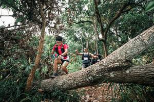 BIB: 
                            <button type="button" onclick="openModal(25529490)" class="btn btn-primary btn-sm float-right btn-popup" data-toggle="modal" data-target=".modal-high-quality">
                        <i class="fas fa-shopping-cart"></i> Add to Cart
                    </button>
                                            <button type="button" onclick="isThisMe(25529490, true)" class="btn btn-success btn-sm float-right btn-popup btn-isme hidden" data-toggle="tooltip" data-placement="bottom" title="นี่คือรูปของคุณใช่ไหม คลิกที่นี่เพื่อเอาเข้าอัลบั้ม">
                        <i class="fas fa-plus"></i> Add to album
                    </button>
                    <button type="button" onclick="isThisMe(25529490, false)" class="btn btn-warning btn-sm float-right btn-popup btn-isnotme hidden">
                        <i class="fas fa-ban"></i> Remove from album
                    </button>