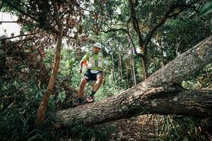 BIB: 
                            <button type="button" onclick="openModal(25534413)" class="btn btn-primary btn-sm float-right btn-popup" data-toggle="modal" data-target=".modal-high-quality">
                        <i class="fas fa-shopping-cart"></i> Add to Cart
                    </button>
                                            <button type="button" onclick="isThisMe(25534413, true)" class="btn btn-success btn-sm float-right btn-popup btn-isme hidden" data-toggle="tooltip" data-placement="bottom" title="นี่คือรูปของคุณใช่ไหม คลิกที่นี่เพื่อเอาเข้าอัลบั้ม">
                        <i class="fas fa-plus"></i> Add to album
                    </button>
                    <button type="button" onclick="isThisMe(25534413, false)" class="btn btn-warning btn-sm float-right btn-popup btn-isnotme hidden">
                        <i class="fas fa-ban"></i> Remove from album
                    </button>