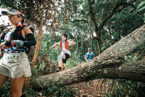 BIB: 
                            <button type="button" onclick="openModal(25540881)" class="btn btn-primary btn-sm float-right btn-popup" data-toggle="modal" data-target=".modal-high-quality">
                        <i class="fas fa-shopping-cart"></i> Add to Cart
                    </button>
                                            <button type="button" onclick="isThisMe(25540881, true)" class="btn btn-success btn-sm float-right btn-popup btn-isme hidden" data-toggle="tooltip" data-placement="bottom" title="นี่คือรูปของคุณใช่ไหม คลิกที่นี่เพื่อเอาเข้าอัลบั้ม">
                        <i class="fas fa-plus"></i> Add to album
                    </button>
                    <button type="button" onclick="isThisMe(25540881, false)" class="btn btn-warning btn-sm float-right btn-popup btn-isnotme hidden">
                        <i class="fas fa-ban"></i> Remove from album
                    </button>