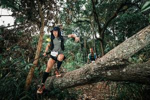 BIB: 
                            <button type="button" onclick="openModal(25536795)" class="btn btn-primary btn-sm float-right btn-popup" data-toggle="modal" data-target=".modal-high-quality">
                        <i class="fas fa-shopping-cart"></i> Add to Cart
                    </button>
                                            <button type="button" onclick="isThisMe(25536795, true)" class="btn btn-success btn-sm float-right btn-popup btn-isme hidden" data-toggle="tooltip" data-placement="bottom" title="นี่คือรูปของคุณใช่ไหม คลิกที่นี่เพื่อเอาเข้าอัลบั้ม">
                        <i class="fas fa-plus"></i> Add to album
                    </button>
                    <button type="button" onclick="isThisMe(25536795, false)" class="btn btn-warning btn-sm float-right btn-popup btn-isnotme hidden">
                        <i class="fas fa-ban"></i> Remove from album
                    </button>