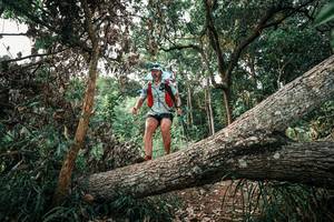 BIB: 
                            <button type="button" onclick="openModal(25533292)" class="btn btn-primary btn-sm float-right btn-popup" data-toggle="modal" data-target=".modal-high-quality">
                        <i class="fas fa-shopping-cart"></i> Add to Cart
                    </button>
                                            <button type="button" onclick="isThisMe(25533292, true)" class="btn btn-success btn-sm float-right btn-popup btn-isme hidden" data-toggle="tooltip" data-placement="bottom" title="นี่คือรูปของคุณใช่ไหม คลิกที่นี่เพื่อเอาเข้าอัลบั้ม">
                        <i class="fas fa-plus"></i> Add to album
                    </button>
                    <button type="button" onclick="isThisMe(25533292, false)" class="btn btn-warning btn-sm float-right btn-popup btn-isnotme hidden">
                        <i class="fas fa-ban"></i> Remove from album
                    </button>