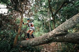 BIB: 
                            <button type="button" onclick="openModal(25533607)" class="btn btn-primary btn-sm float-right btn-popup" data-toggle="modal" data-target=".modal-high-quality">
                        <i class="fas fa-shopping-cart"></i> Add to Cart
                    </button>
                                            <button type="button" onclick="isThisMe(25533607, true)" class="btn btn-success btn-sm float-right btn-popup btn-isme hidden" data-toggle="tooltip" data-placement="bottom" title="นี่คือรูปของคุณใช่ไหม คลิกที่นี่เพื่อเอาเข้าอัลบั้ม">
                        <i class="fas fa-plus"></i> Add to album
                    </button>
                    <button type="button" onclick="isThisMe(25533607, false)" class="btn btn-warning btn-sm float-right btn-popup btn-isnotme hidden">
                        <i class="fas fa-ban"></i> Remove from album
                    </button>