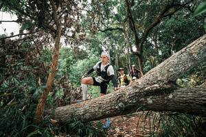 BIB: 
                            <button type="button" onclick="openModal(25530006)" class="btn btn-primary btn-sm float-right btn-popup" data-toggle="modal" data-target=".modal-high-quality">
                        <i class="fas fa-shopping-cart"></i> Add to Cart
                    </button>
                                            <button type="button" onclick="isThisMe(25530006, true)" class="btn btn-success btn-sm float-right btn-popup btn-isme hidden" data-toggle="tooltip" data-placement="bottom" title="นี่คือรูปของคุณใช่ไหม คลิกที่นี่เพื่อเอาเข้าอัลบั้ม">
                        <i class="fas fa-plus"></i> Add to album
                    </button>
                    <button type="button" onclick="isThisMe(25530006, false)" class="btn btn-warning btn-sm float-right btn-popup btn-isnotme hidden">
                        <i class="fas fa-ban"></i> Remove from album
                    </button>