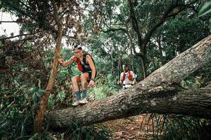 BIB: 
                            <button type="button" onclick="openModal(25548200)" class="btn btn-primary btn-sm float-right btn-popup" data-toggle="modal" data-target=".modal-high-quality">
                        <i class="fas fa-shopping-cart"></i> Add to Cart
                    </button>
                                            <button type="button" onclick="isThisMe(25548200, true)" class="btn btn-success btn-sm float-right btn-popup btn-isme hidden" data-toggle="tooltip" data-placement="bottom" title="นี่คือรูปของคุณใช่ไหม คลิกที่นี่เพื่อเอาเข้าอัลบั้ม">
                        <i class="fas fa-plus"></i> Add to album
                    </button>
                    <button type="button" onclick="isThisMe(25548200, false)" class="btn btn-warning btn-sm float-right btn-popup btn-isnotme hidden">
                        <i class="fas fa-ban"></i> Remove from album
                    </button>