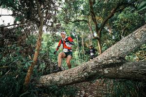 BIB: 
                            <button type="button" onclick="openModal(25526809)" class="btn btn-primary btn-sm float-right btn-popup" data-toggle="modal" data-target=".modal-high-quality">
                        <i class="fas fa-shopping-cart"></i> Add to Cart
                    </button>
                                            <button type="button" onclick="isThisMe(25526809, true)" class="btn btn-success btn-sm float-right btn-popup btn-isme hidden" data-toggle="tooltip" data-placement="bottom" title="นี่คือรูปของคุณใช่ไหม คลิกที่นี่เพื่อเอาเข้าอัลบั้ม">
                        <i class="fas fa-plus"></i> Add to album
                    </button>
                    <button type="button" onclick="isThisMe(25526809, false)" class="btn btn-warning btn-sm float-right btn-popup btn-isnotme hidden">
                        <i class="fas fa-ban"></i> Remove from album
                    </button>