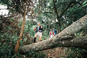 BIB: 
                            <button type="button" onclick="openModal(25540802)" class="btn btn-primary btn-sm float-right btn-popup" data-toggle="modal" data-target=".modal-high-quality">
                        <i class="fas fa-shopping-cart"></i> Add to Cart
                    </button>
                                            <button type="button" onclick="isThisMe(25540802, true)" class="btn btn-success btn-sm float-right btn-popup btn-isme hidden" data-toggle="tooltip" data-placement="bottom" title="นี่คือรูปของคุณใช่ไหม คลิกที่นี่เพื่อเอาเข้าอัลบั้ม">
                        <i class="fas fa-plus"></i> Add to album
                    </button>
                    <button type="button" onclick="isThisMe(25540802, false)" class="btn btn-warning btn-sm float-right btn-popup btn-isnotme hidden">
                        <i class="fas fa-ban"></i> Remove from album
                    </button>