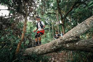 BIB: 
                            <button type="button" onclick="openModal(25527388)" class="btn btn-primary btn-sm float-right btn-popup" data-toggle="modal" data-target=".modal-high-quality">
                        <i class="fas fa-shopping-cart"></i> Add to Cart
                    </button>
                                            <button type="button" onclick="isThisMe(25527388, true)" class="btn btn-success btn-sm float-right btn-popup btn-isme hidden" data-toggle="tooltip" data-placement="bottom" title="นี่คือรูปของคุณใช่ไหม คลิกที่นี่เพื่อเอาเข้าอัลบั้ม">
                        <i class="fas fa-plus"></i> Add to album
                    </button>
                    <button type="button" onclick="isThisMe(25527388, false)" class="btn btn-warning btn-sm float-right btn-popup btn-isnotme hidden">
                        <i class="fas fa-ban"></i> Remove from album
                    </button>