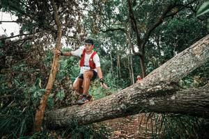 BIB: 
                            <button type="button" onclick="openModal(25545462)" class="btn btn-primary btn-sm float-right btn-popup" data-toggle="modal" data-target=".modal-high-quality">
                        <i class="fas fa-shopping-cart"></i> Add to Cart
                    </button>
                                            <button type="button" onclick="isThisMe(25545462, true)" class="btn btn-success btn-sm float-right btn-popup btn-isme hidden" data-toggle="tooltip" data-placement="bottom" title="นี่คือรูปของคุณใช่ไหม คลิกที่นี่เพื่อเอาเข้าอัลบั้ม">
                        <i class="fas fa-plus"></i> Add to album
                    </button>
                    <button type="button" onclick="isThisMe(25545462, false)" class="btn btn-warning btn-sm float-right btn-popup btn-isnotme hidden">
                        <i class="fas fa-ban"></i> Remove from album
                    </button>