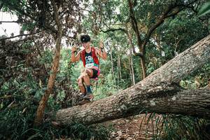 BIB: 
                            <button type="button" onclick="openModal(25529266)" class="btn btn-primary btn-sm float-right btn-popup" data-toggle="modal" data-target=".modal-high-quality">
                        <i class="fas fa-shopping-cart"></i> Add to Cart
                    </button>
                                            <button type="button" onclick="isThisMe(25529266, true)" class="btn btn-success btn-sm float-right btn-popup btn-isme hidden" data-toggle="tooltip" data-placement="bottom" title="นี่คือรูปของคุณใช่ไหม คลิกที่นี่เพื่อเอาเข้าอัลบั้ม">
                        <i class="fas fa-plus"></i> Add to album
                    </button>
                    <button type="button" onclick="isThisMe(25529266, false)" class="btn btn-warning btn-sm float-right btn-popup btn-isnotme hidden">
                        <i class="fas fa-ban"></i> Remove from album
                    </button>