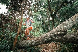 BIB: 
                            <button type="button" onclick="openModal(25545177)" class="btn btn-primary btn-sm float-right btn-popup" data-toggle="modal" data-target=".modal-high-quality">
                        <i class="fas fa-shopping-cart"></i> Add to Cart
                    </button>
                                            <button type="button" onclick="isThisMe(25545177, true)" class="btn btn-success btn-sm float-right btn-popup btn-isme hidden" data-toggle="tooltip" data-placement="bottom" title="นี่คือรูปของคุณใช่ไหม คลิกที่นี่เพื่อเอาเข้าอัลบั้ม">
                        <i class="fas fa-plus"></i> Add to album
                    </button>
                    <button type="button" onclick="isThisMe(25545177, false)" class="btn btn-warning btn-sm float-right btn-popup btn-isnotme hidden">
                        <i class="fas fa-ban"></i> Remove from album
                    </button>