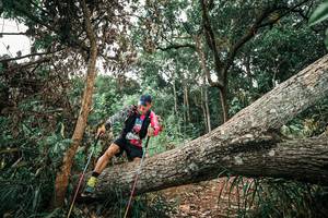 BIB: 
                            <button type="button" onclick="openModal(25544986)" class="btn btn-primary btn-sm float-right btn-popup" data-toggle="modal" data-target=".modal-high-quality">
                        <i class="fas fa-shopping-cart"></i> Add to Cart
                    </button>
                                            <button type="button" onclick="isThisMe(25544986, true)" class="btn btn-success btn-sm float-right btn-popup btn-isme hidden" data-toggle="tooltip" data-placement="bottom" title="นี่คือรูปของคุณใช่ไหม คลิกที่นี่เพื่อเอาเข้าอัลบั้ม">
                        <i class="fas fa-plus"></i> Add to album
                    </button>
                    <button type="button" onclick="isThisMe(25544986, false)" class="btn btn-warning btn-sm float-right btn-popup btn-isnotme hidden">
                        <i class="fas fa-ban"></i> Remove from album
                    </button>