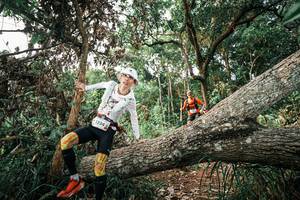 BIB: 
                            <button type="button" onclick="openModal(25528917)" class="btn btn-primary btn-sm float-right btn-popup" data-toggle="modal" data-target=".modal-high-quality">
                        <i class="fas fa-shopping-cart"></i> Add to Cart
                    </button>
                                            <button type="button" onclick="isThisMe(25528917, true)" class="btn btn-success btn-sm float-right btn-popup btn-isme hidden" data-toggle="tooltip" data-placement="bottom" title="นี่คือรูปของคุณใช่ไหม คลิกที่นี่เพื่อเอาเข้าอัลบั้ม">
                        <i class="fas fa-plus"></i> Add to album
                    </button>
                    <button type="button" onclick="isThisMe(25528917, false)" class="btn btn-warning btn-sm float-right btn-popup btn-isnotme hidden">
                        <i class="fas fa-ban"></i> Remove from album
                    </button>