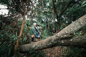 BIB: 
                            <button type="button" onclick="openModal(25544154)" class="btn btn-primary btn-sm float-right btn-popup" data-toggle="modal" data-target=".modal-high-quality">
                        <i class="fas fa-shopping-cart"></i> Add to Cart
                    </button>
                                            <button type="button" onclick="isThisMe(25544154, true)" class="btn btn-success btn-sm float-right btn-popup btn-isme hidden" data-toggle="tooltip" data-placement="bottom" title="นี่คือรูปของคุณใช่ไหม คลิกที่นี่เพื่อเอาเข้าอัลบั้ม">
                        <i class="fas fa-plus"></i> Add to album
                    </button>
                    <button type="button" onclick="isThisMe(25544154, false)" class="btn btn-warning btn-sm float-right btn-popup btn-isnotme hidden">
                        <i class="fas fa-ban"></i> Remove from album
                    </button>