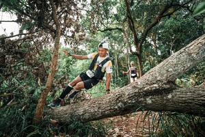 BIB: 
                            <button type="button" onclick="openModal(25529756)" class="btn btn-primary btn-sm float-right btn-popup" data-toggle="modal" data-target=".modal-high-quality">
                        <i class="fas fa-shopping-cart"></i> Add to Cart
                    </button>
                                            <button type="button" onclick="isThisMe(25529756, true)" class="btn btn-success btn-sm float-right btn-popup btn-isme hidden" data-toggle="tooltip" data-placement="bottom" title="นี่คือรูปของคุณใช่ไหม คลิกที่นี่เพื่อเอาเข้าอัลบั้ม">
                        <i class="fas fa-plus"></i> Add to album
                    </button>
                    <button type="button" onclick="isThisMe(25529756, false)" class="btn btn-warning btn-sm float-right btn-popup btn-isnotme hidden">
                        <i class="fas fa-ban"></i> Remove from album
                    </button>