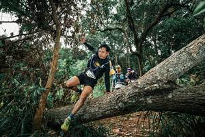 BIB: 
                            <button type="button" onclick="openModal(25549941)" class="btn btn-primary btn-sm float-right btn-popup" data-toggle="modal" data-target=".modal-high-quality">
                        <i class="fas fa-shopping-cart"></i> Add to Cart
                    </button>
                                            <button type="button" onclick="isThisMe(25549941, true)" class="btn btn-success btn-sm float-right btn-popup btn-isme hidden" data-toggle="tooltip" data-placement="bottom" title="นี่คือรูปของคุณใช่ไหม คลิกที่นี่เพื่อเอาเข้าอัลบั้ม">
                        <i class="fas fa-plus"></i> Add to album
                    </button>
                    <button type="button" onclick="isThisMe(25549941, false)" class="btn btn-warning btn-sm float-right btn-popup btn-isnotme hidden">
                        <i class="fas fa-ban"></i> Remove from album
                    </button>