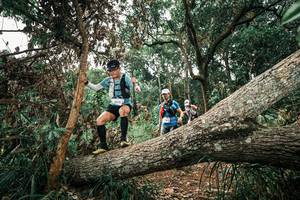 BIB: 
                            <button type="button" onclick="openModal(25547688)" class="btn btn-primary btn-sm float-right btn-popup" data-toggle="modal" data-target=".modal-high-quality">
                        <i class="fas fa-shopping-cart"></i> Add to Cart
                    </button>
                                            <button type="button" onclick="isThisMe(25547688, true)" class="btn btn-success btn-sm float-right btn-popup btn-isme hidden" data-toggle="tooltip" data-placement="bottom" title="นี่คือรูปของคุณใช่ไหม คลิกที่นี่เพื่อเอาเข้าอัลบั้ม">
                        <i class="fas fa-plus"></i> Add to album
                    </button>
                    <button type="button" onclick="isThisMe(25547688, false)" class="btn btn-warning btn-sm float-right btn-popup btn-isnotme hidden">
                        <i class="fas fa-ban"></i> Remove from album
                    </button>