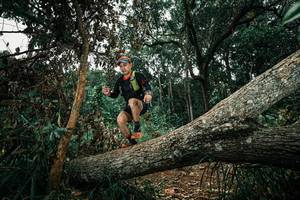 BIB: 
                            <button type="button" onclick="openModal(25550690)" class="btn btn-primary btn-sm float-right btn-popup" data-toggle="modal" data-target=".modal-high-quality">
                        <i class="fas fa-shopping-cart"></i> Add to Cart
                    </button>
                                            <button type="button" onclick="isThisMe(25550690, true)" class="btn btn-success btn-sm float-right btn-popup btn-isme hidden" data-toggle="tooltip" data-placement="bottom" title="นี่คือรูปของคุณใช่ไหม คลิกที่นี่เพื่อเอาเข้าอัลบั้ม">
                        <i class="fas fa-plus"></i> Add to album
                    </button>
                    <button type="button" onclick="isThisMe(25550690, false)" class="btn btn-warning btn-sm float-right btn-popup btn-isnotme hidden">
                        <i class="fas fa-ban"></i> Remove from album
                    </button>