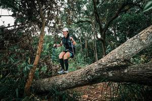 BIB: 
                            <button type="button" onclick="openModal(25547124)" class="btn btn-primary btn-sm float-right btn-popup" data-toggle="modal" data-target=".modal-high-quality">
                        <i class="fas fa-shopping-cart"></i> Add to Cart
                    </button>
                                            <button type="button" onclick="isThisMe(25547124, true)" class="btn btn-success btn-sm float-right btn-popup btn-isme hidden" data-toggle="tooltip" data-placement="bottom" title="นี่คือรูปของคุณใช่ไหม คลิกที่นี่เพื่อเอาเข้าอัลบั้ม">
                        <i class="fas fa-plus"></i> Add to album
                    </button>
                    <button type="button" onclick="isThisMe(25547124, false)" class="btn btn-warning btn-sm float-right btn-popup btn-isnotme hidden">
                        <i class="fas fa-ban"></i> Remove from album
                    </button>