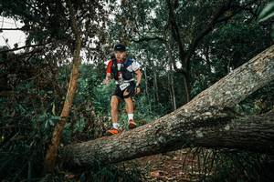 BIB: 
                            <button type="button" onclick="openModal(25550450)" class="btn btn-primary btn-sm float-right btn-popup" data-toggle="modal" data-target=".modal-high-quality">
                        <i class="fas fa-shopping-cart"></i> Add to Cart
                    </button>
                                            <button type="button" onclick="isThisMe(25550450, true)" class="btn btn-success btn-sm float-right btn-popup btn-isme hidden" data-toggle="tooltip" data-placement="bottom" title="นี่คือรูปของคุณใช่ไหม คลิกที่นี่เพื่อเอาเข้าอัลบั้ม">
                        <i class="fas fa-plus"></i> Add to album
                    </button>
                    <button type="button" onclick="isThisMe(25550450, false)" class="btn btn-warning btn-sm float-right btn-popup btn-isnotme hidden">
                        <i class="fas fa-ban"></i> Remove from album
                    </button>