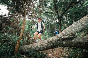 BIB: 
                            <button type="button" onclick="openModal(25541178)" class="btn btn-primary btn-sm float-right btn-popup" data-toggle="modal" data-target=".modal-high-quality">
                        <i class="fas fa-shopping-cart"></i> Add to Cart
                    </button>
                                            <button type="button" onclick="isThisMe(25541178, true)" class="btn btn-success btn-sm float-right btn-popup btn-isme hidden" data-toggle="tooltip" data-placement="bottom" title="นี่คือรูปของคุณใช่ไหม คลิกที่นี่เพื่อเอาเข้าอัลบั้ม">
                        <i class="fas fa-plus"></i> Add to album
                    </button>
                    <button type="button" onclick="isThisMe(25541178, false)" class="btn btn-warning btn-sm float-right btn-popup btn-isnotme hidden">
                        <i class="fas fa-ban"></i> Remove from album
                    </button>