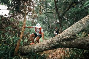 BIB: 
                            <button type="button" onclick="openModal(25547931)" class="btn btn-primary btn-sm float-right btn-popup" data-toggle="modal" data-target=".modal-high-quality">
                        <i class="fas fa-shopping-cart"></i> Add to Cart
                    </button>
                                            <button type="button" onclick="isThisMe(25547931, true)" class="btn btn-success btn-sm float-right btn-popup btn-isme hidden" data-toggle="tooltip" data-placement="bottom" title="นี่คือรูปของคุณใช่ไหม คลิกที่นี่เพื่อเอาเข้าอัลบั้ม">
                        <i class="fas fa-plus"></i> Add to album
                    </button>
                    <button type="button" onclick="isThisMe(25547931, false)" class="btn btn-warning btn-sm float-right btn-popup btn-isnotme hidden">
                        <i class="fas fa-ban"></i> Remove from album
                    </button>