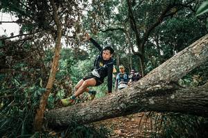 BIB: 
                            <button type="button" onclick="openModal(25549934)" class="btn btn-primary btn-sm float-right btn-popup" data-toggle="modal" data-target=".modal-high-quality">
                        <i class="fas fa-shopping-cart"></i> Add to Cart
                    </button>
                                            <button type="button" onclick="isThisMe(25549934, true)" class="btn btn-success btn-sm float-right btn-popup btn-isme hidden" data-toggle="tooltip" data-placement="bottom" title="นี่คือรูปของคุณใช่ไหม คลิกที่นี่เพื่อเอาเข้าอัลบั้ม">
                        <i class="fas fa-plus"></i> Add to album
                    </button>
                    <button type="button" onclick="isThisMe(25549934, false)" class="btn btn-warning btn-sm float-right btn-popup btn-isnotme hidden">
                        <i class="fas fa-ban"></i> Remove from album
                    </button>