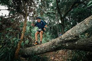 BIB: 
                            <button type="button" onclick="openModal(25551357)" class="btn btn-primary btn-sm float-right btn-popup" data-toggle="modal" data-target=".modal-high-quality">
                        <i class="fas fa-shopping-cart"></i> Add to Cart
                    </button>
                                            <button type="button" onclick="isThisMe(25551357, true)" class="btn btn-success btn-sm float-right btn-popup btn-isme hidden" data-toggle="tooltip" data-placement="bottom" title="นี่คือรูปของคุณใช่ไหม คลิกที่นี่เพื่อเอาเข้าอัลบั้ม">
                        <i class="fas fa-plus"></i> Add to album
                    </button>
                    <button type="button" onclick="isThisMe(25551357, false)" class="btn btn-warning btn-sm float-right btn-popup btn-isnotme hidden">
                        <i class="fas fa-ban"></i> Remove from album
                    </button>